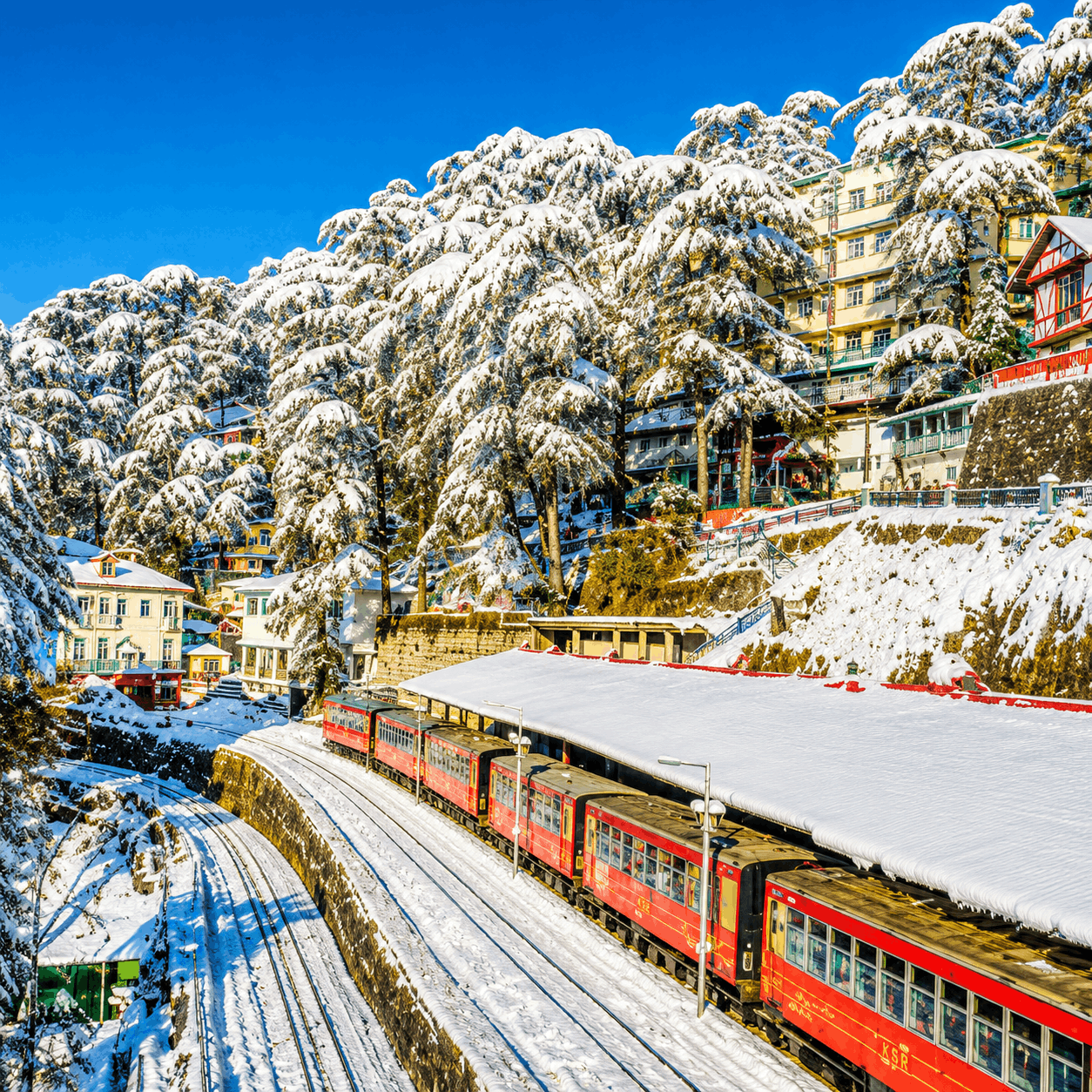Shimla summer holiday package MakeMyTrip 2026