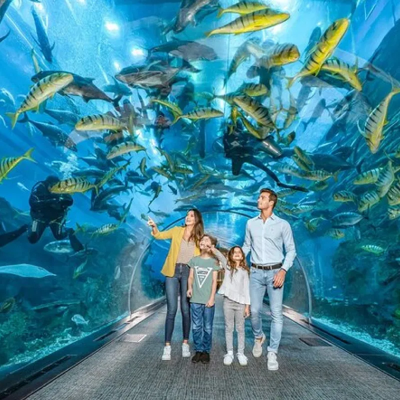 Dubai Aquarium and Underwater Zoo