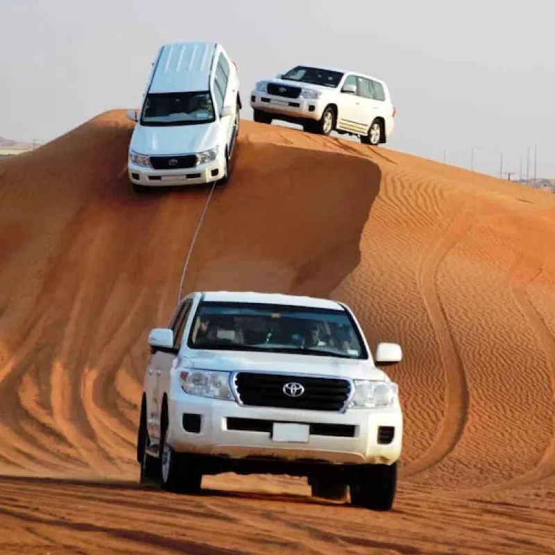 Desert Safari With Dune Bashing Dubai