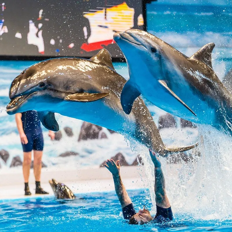 Dubai Dolphinarium