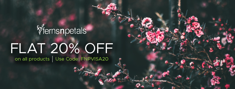 Ferns and Petals Paytm Offer 2021: Extra 10% Off on Flowers, Cakes, Chocolates & more