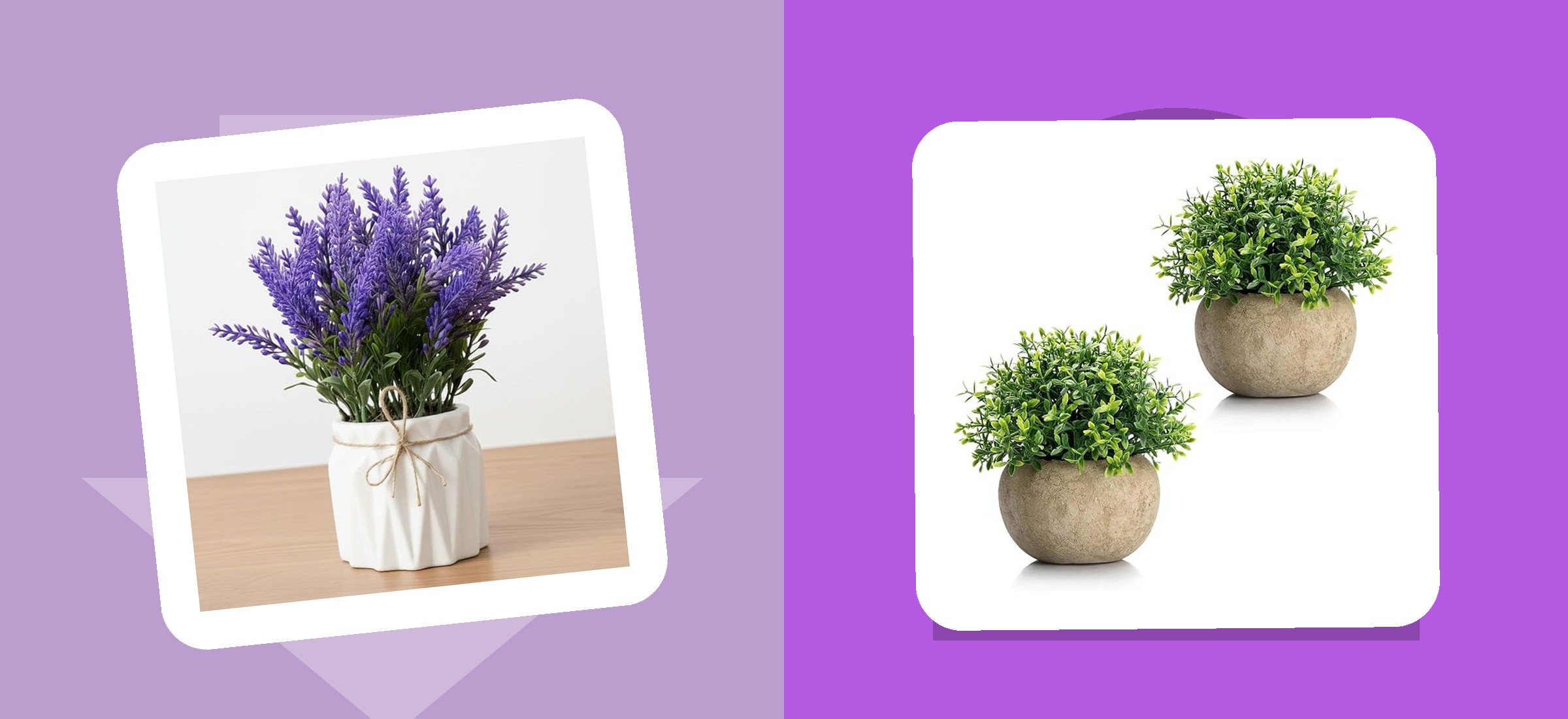Amazon Artificial Plant Price October 2026: One Listing, Three Prices