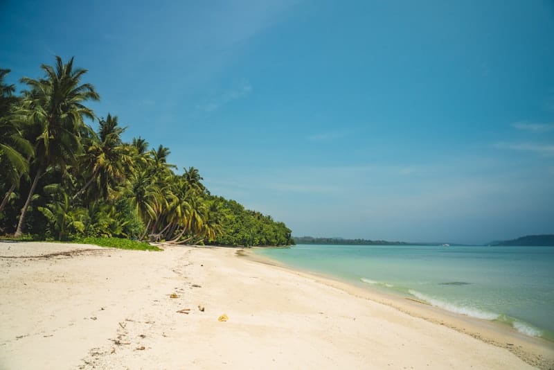 Andaman Islands Beach Crystal Water IndiGo Flight