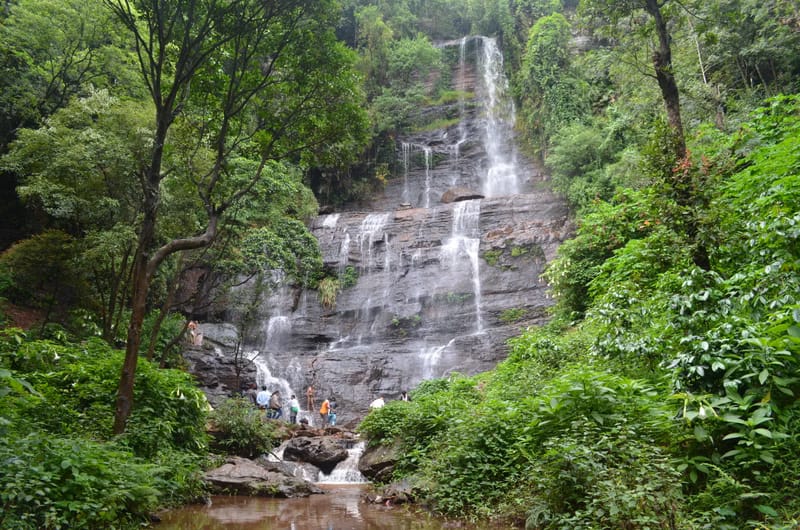 Chikmagalur Karnataka coffee hills
