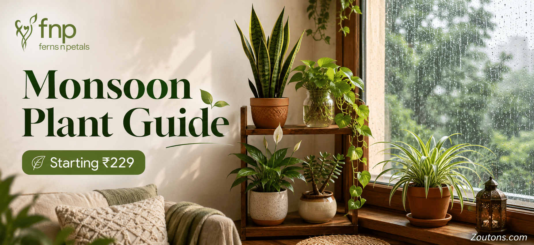 best-indoor-plants-fnp-monsoon-low-maintenance-picks