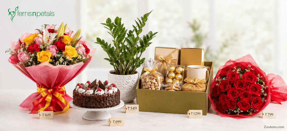 best-monsoon-gifts-fnp-2026-flowers-plants-hampers