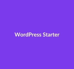 Hostinger WordPress Starter Hosting India