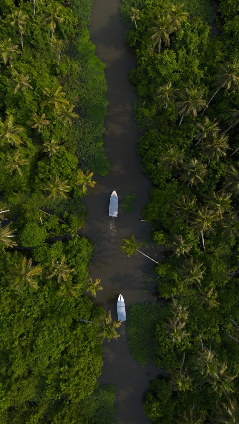 Kerala Backwaters Kochi IndiGo Flight from Bangalore