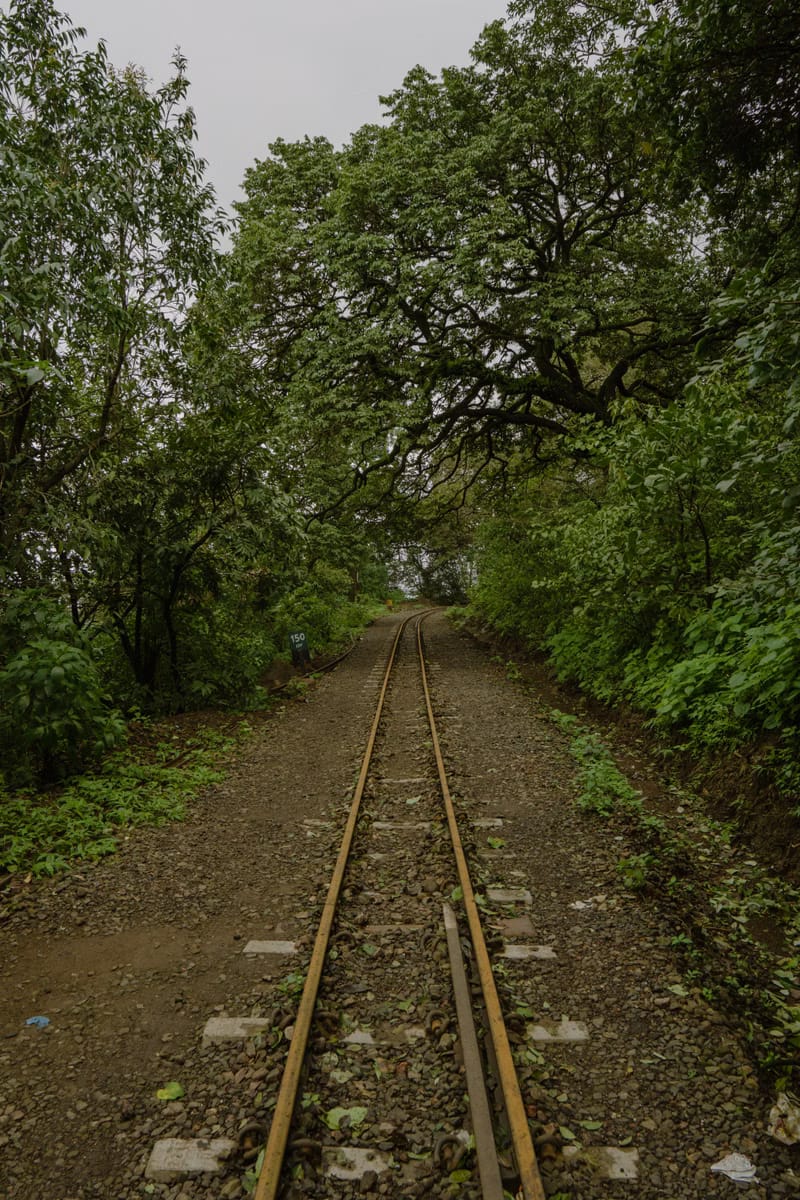 Matheran toy train green forest Maharashtra