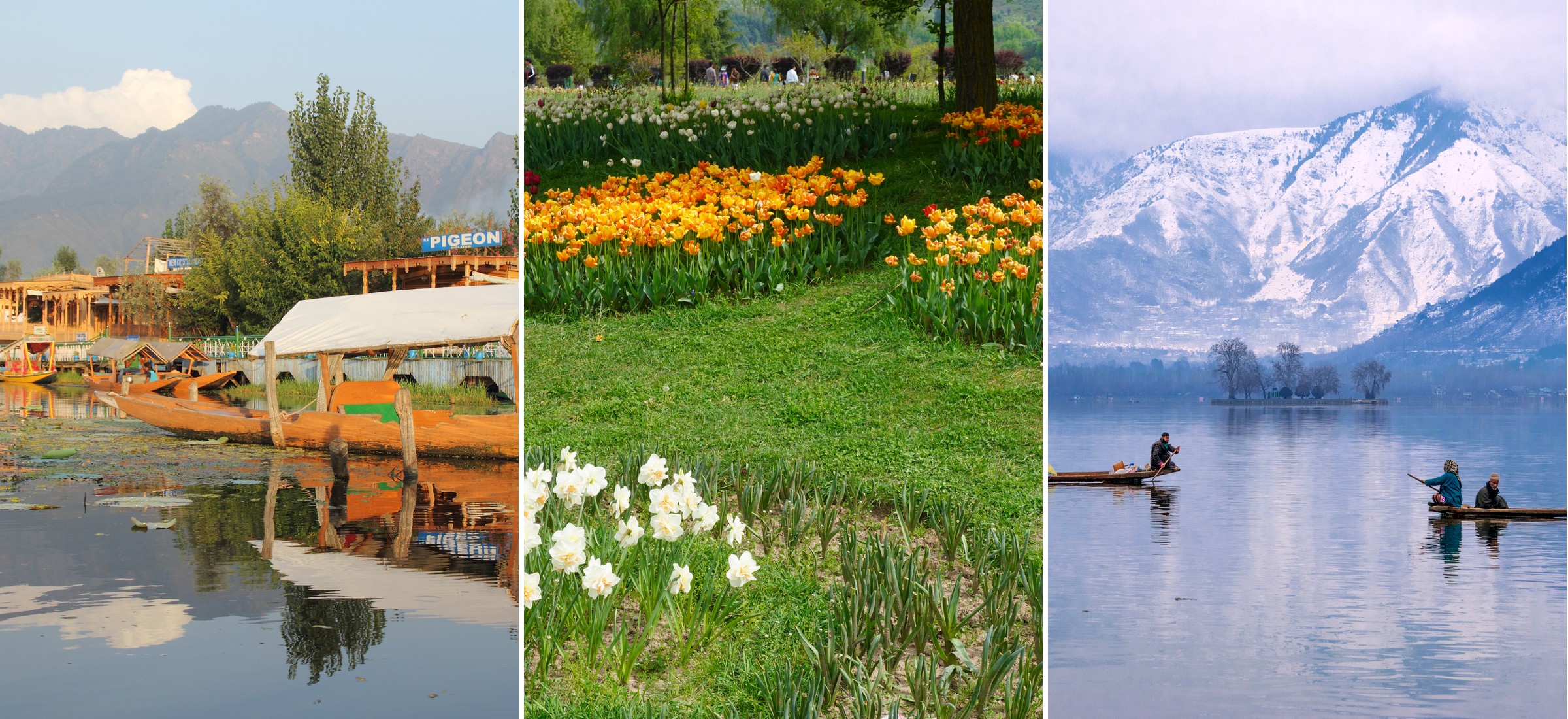 Srinagar Trip From Delhi, Mumbai, Chennai 2026: Flights and Hotels