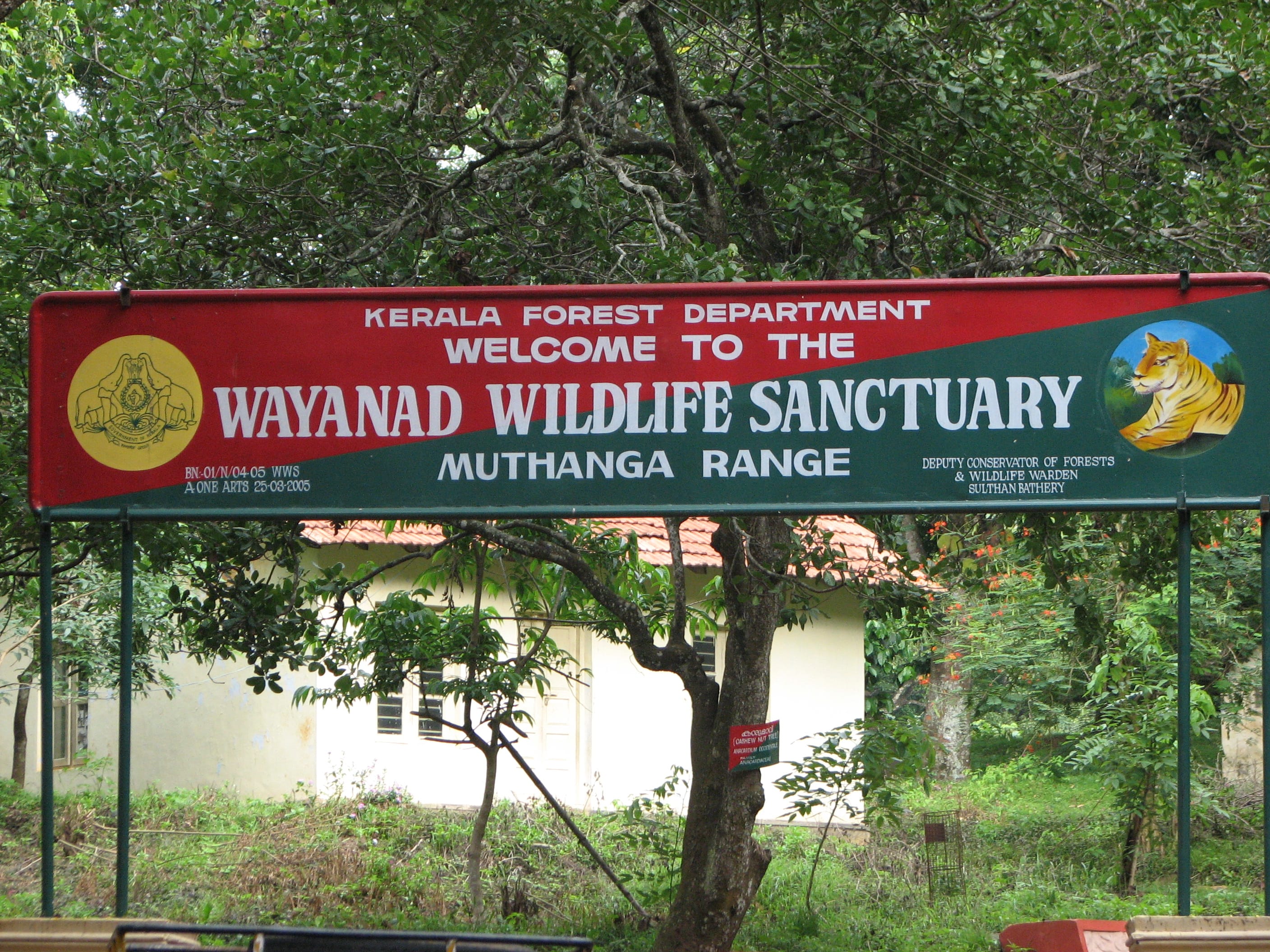 Wayanad Kerala wildlife jungle