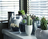 Home Decor & Furniture coupons