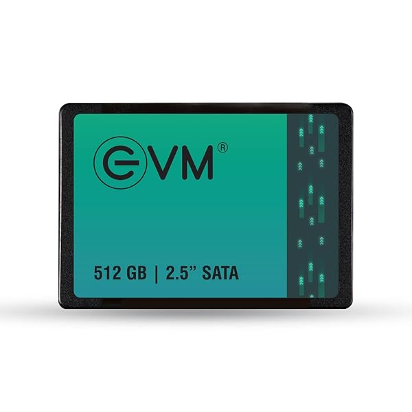 EVM 512GB 2.5 Inch SATA III Internal SSD  Amazon sale
