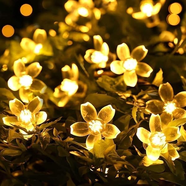 fizzytech 25 LED 5 Meter Warm White Blossom Flower Fairy Lights for Window, Wall, Garden, Amazon sale