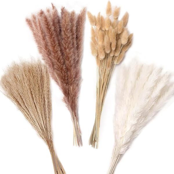 Qlect Home Decor 100 Pcs Set 17inch Natural Dried Pampas Grass,Real Rabbit Bunny Tail,Reed Amazon sale