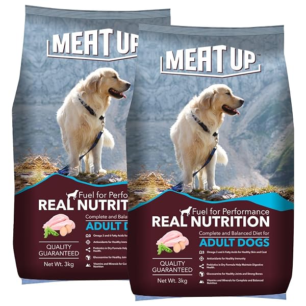 Meat Up Adult Dry Dog Food 6kg (2 x 3kg) | Chicken Flavour | Glucosamine for Healthy Joint Amazon sale