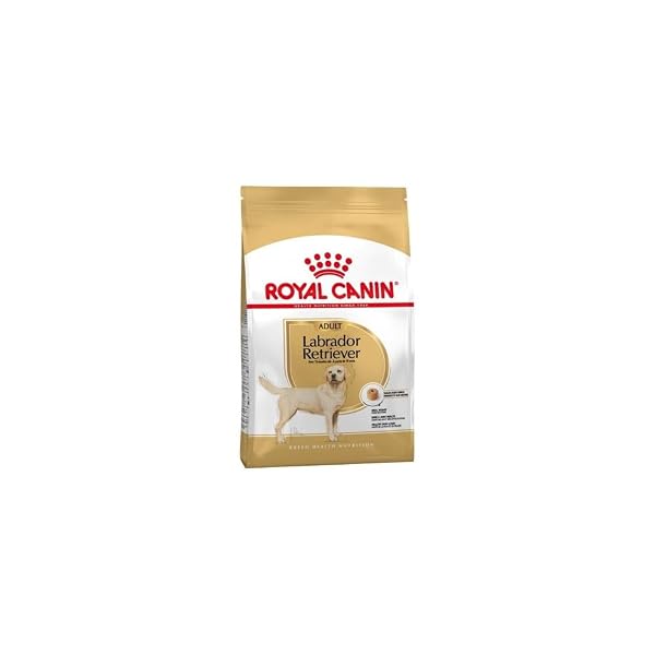 Royal Canin Labrador Retriever Adult Dog Dry Food, 3 kg Supports Ideal Weight, Healthy Ski Amazon sale