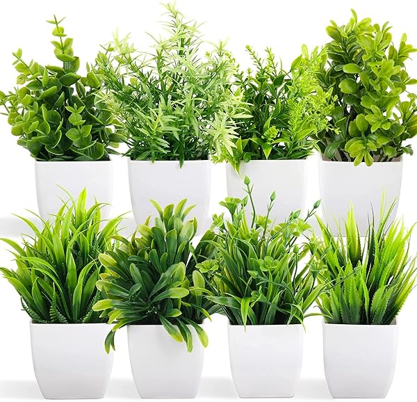 Dekorly Artificial Potted Plants, Artificial Plastic Eucalyptus Plants Small Indoor Potted Amazon sale