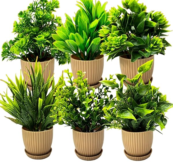 Dekorly 6 Packs Fake Plants Small, Mini Artificial Plants Indoor For Home Farmhouse Bathro Amazon sale