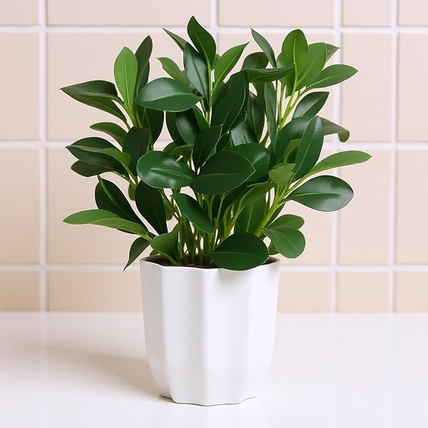 fancymart Plastic Artificial Rubber Plant With Pot Perfect For Home Decor And Office Decor Amazon sale