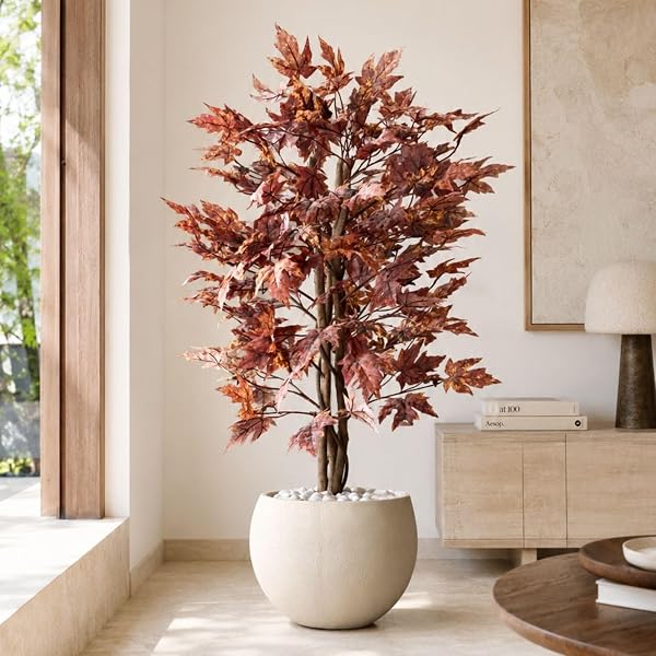 MASON HOME Artificial Canadian Maple Plant Without Pot - 4 Feet | Realistic - Trees - Flow Amazon sale