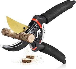 JD FRESH 8 Inch Heavy Duty Bypass Plant Cutter for Garden, Pruners for Plants Cutting Gard Amazon sale