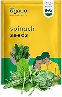 UGAOO Palak or Spinach Vegetable Seeds (Green, Pack of 16 g) -1700 Seeds Amazon sale