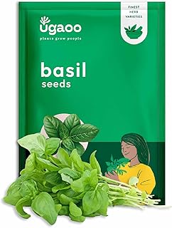 UGAOO Italian Basil Herb Seeds (Green, Pack of 1000) Amazon sale