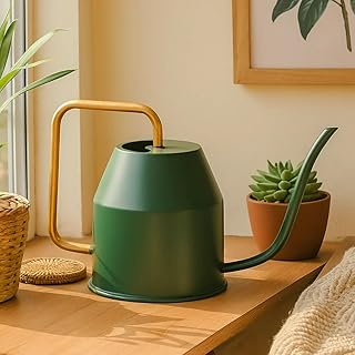 UGAOO Metal Watering Can (Green, 900 ml) with Long Spout for Indoor and Outdoor Gardening Amazon sale