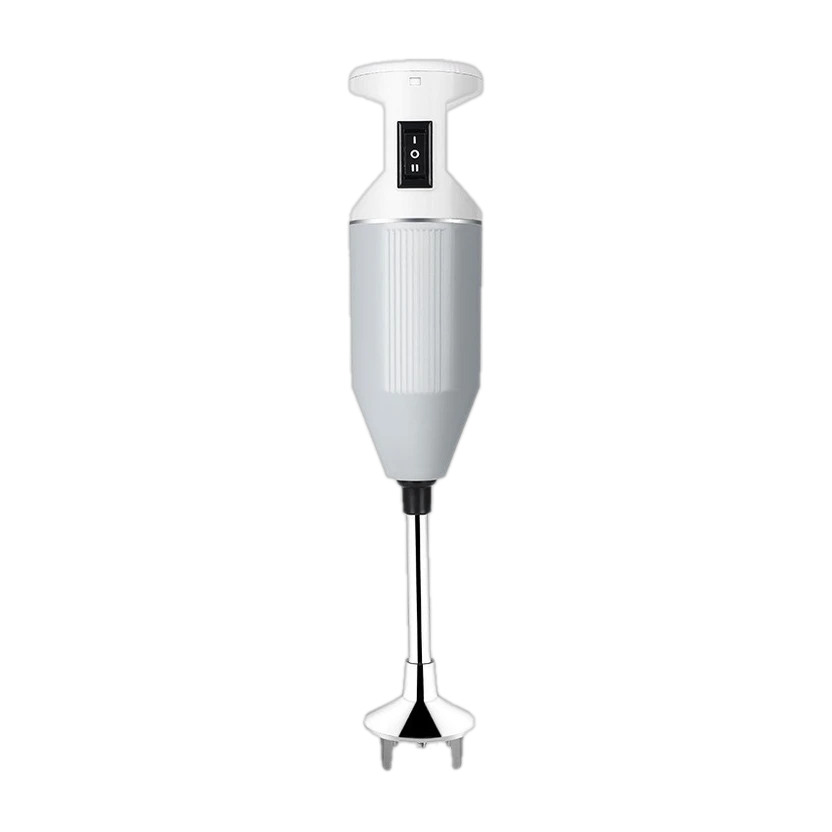 MAHARAJA WHITELINE 250 W Grey Hand Blender Flipkart sale