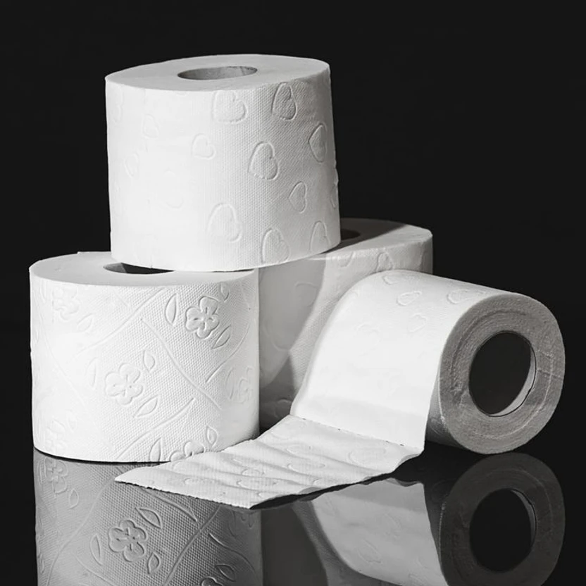 Everbite Eco friendly Soft Toilet Tissue Paper Rolls, Bathroom Tissue Roll Pack of 3 pcs Toi Flipkart sale