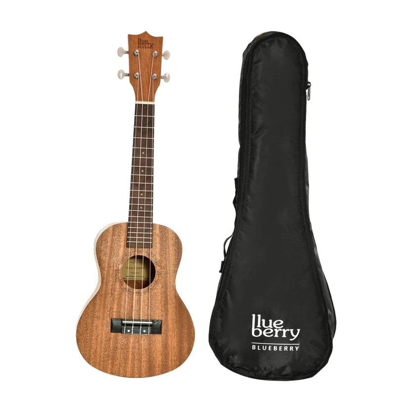 BLUEBERRY UK-10-Brown-ABS Concert 23 Inch Ukulele | Nylon String, Sapele wood Body, Engineer Flipkart sale
