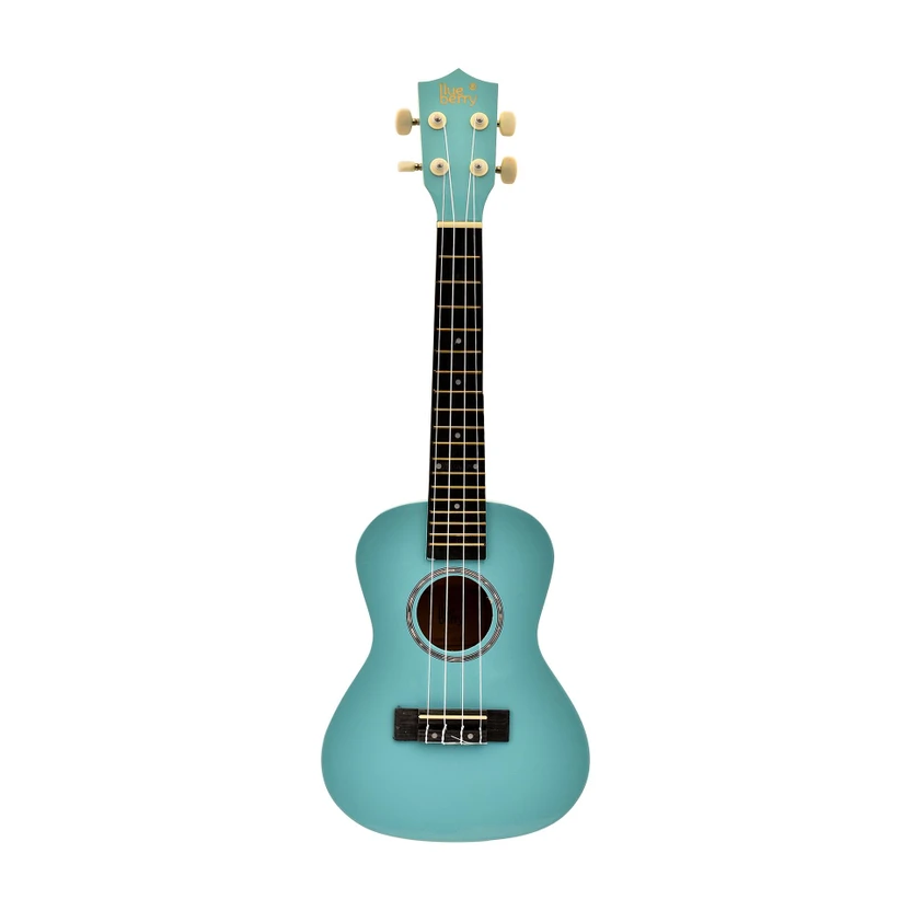 BLUEBERRY UK-40-Bright Teal Concert (24 Inch) Body Sapele and Mahogany Rosewood Concert Ukul Flipkart sale