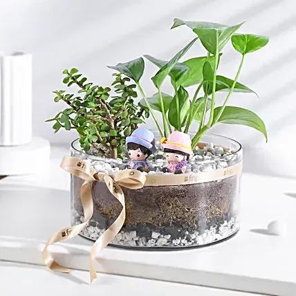 FNP Money & Jade Plant Prosperity Duo