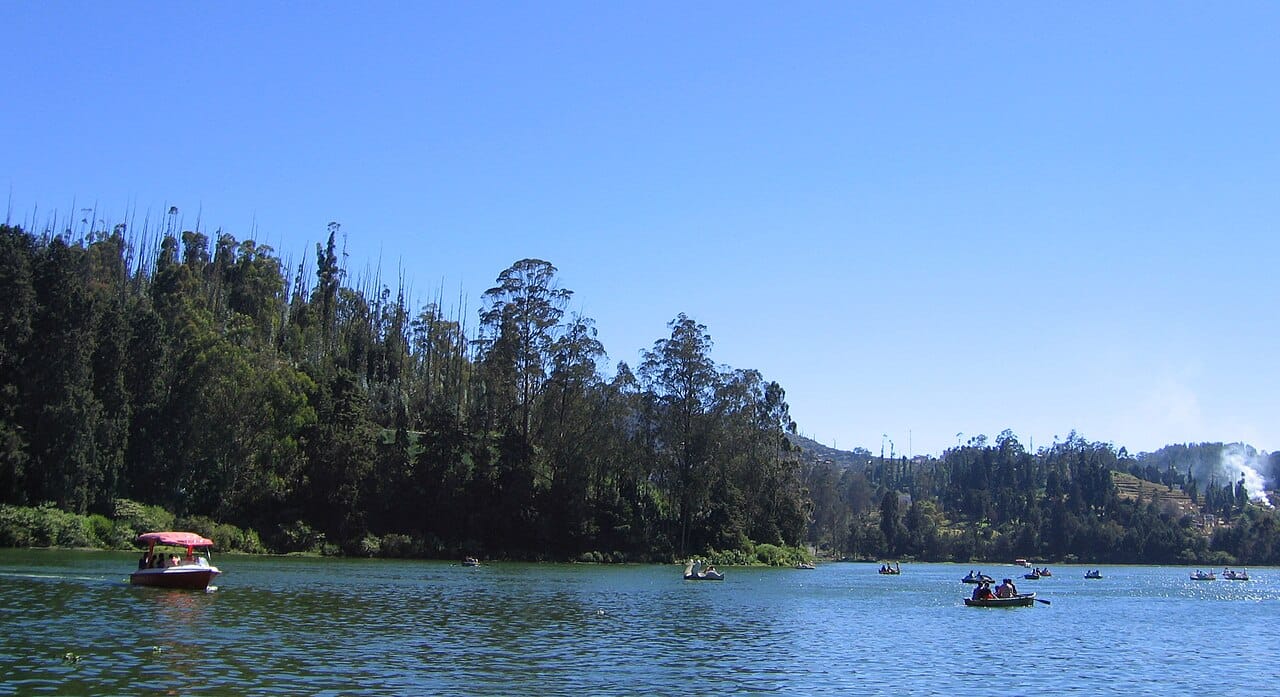 Ooty MakeMyTrip sale