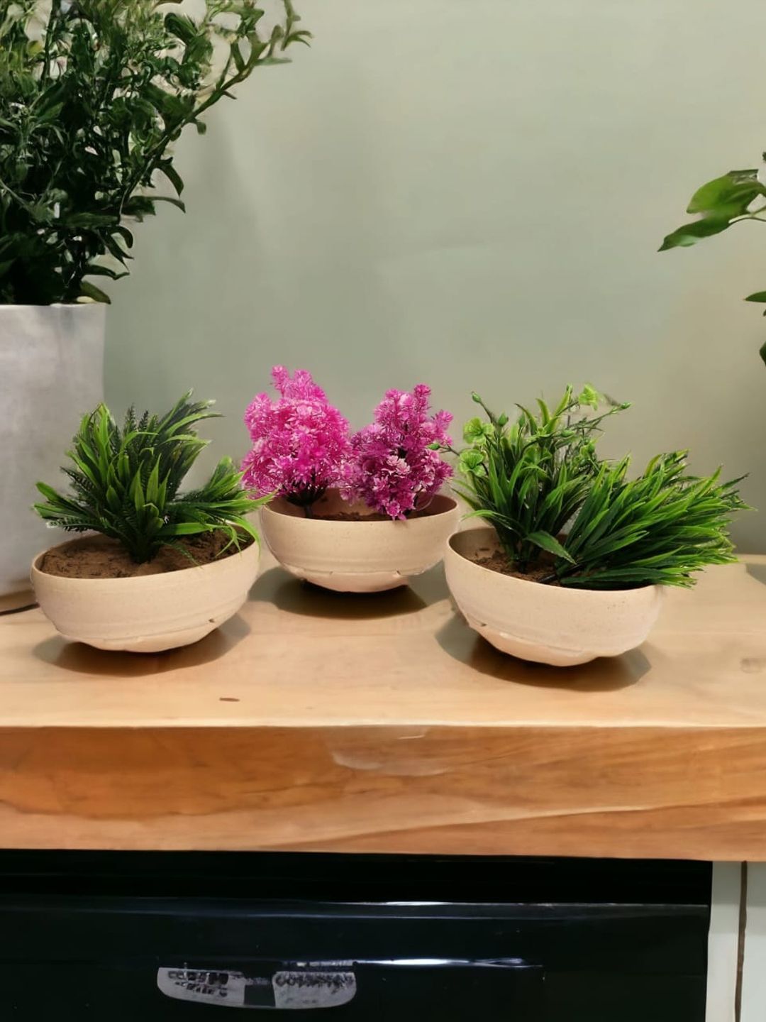 CHOCOZONE 6-Pcs Beige Textured Planters Myntra sale