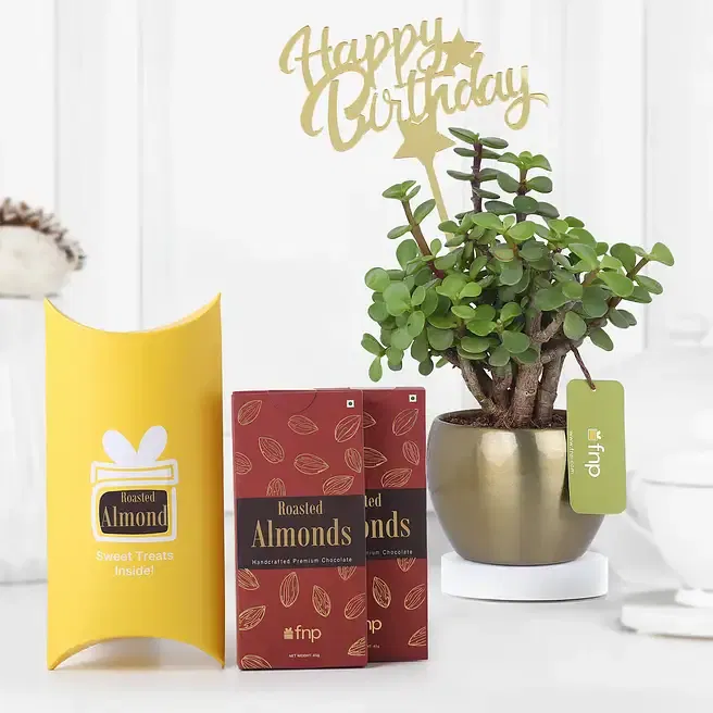 FNP Luxe Leafy Friendship Day Gift Combo