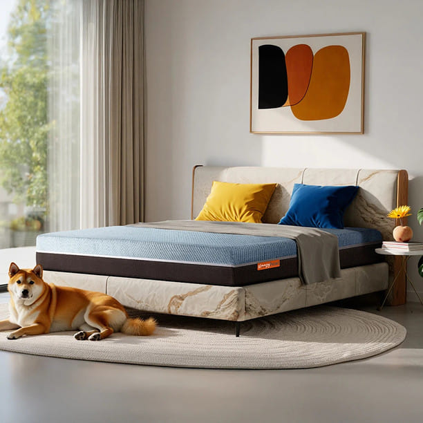 Sleepyhead Laxe Latex Mattress