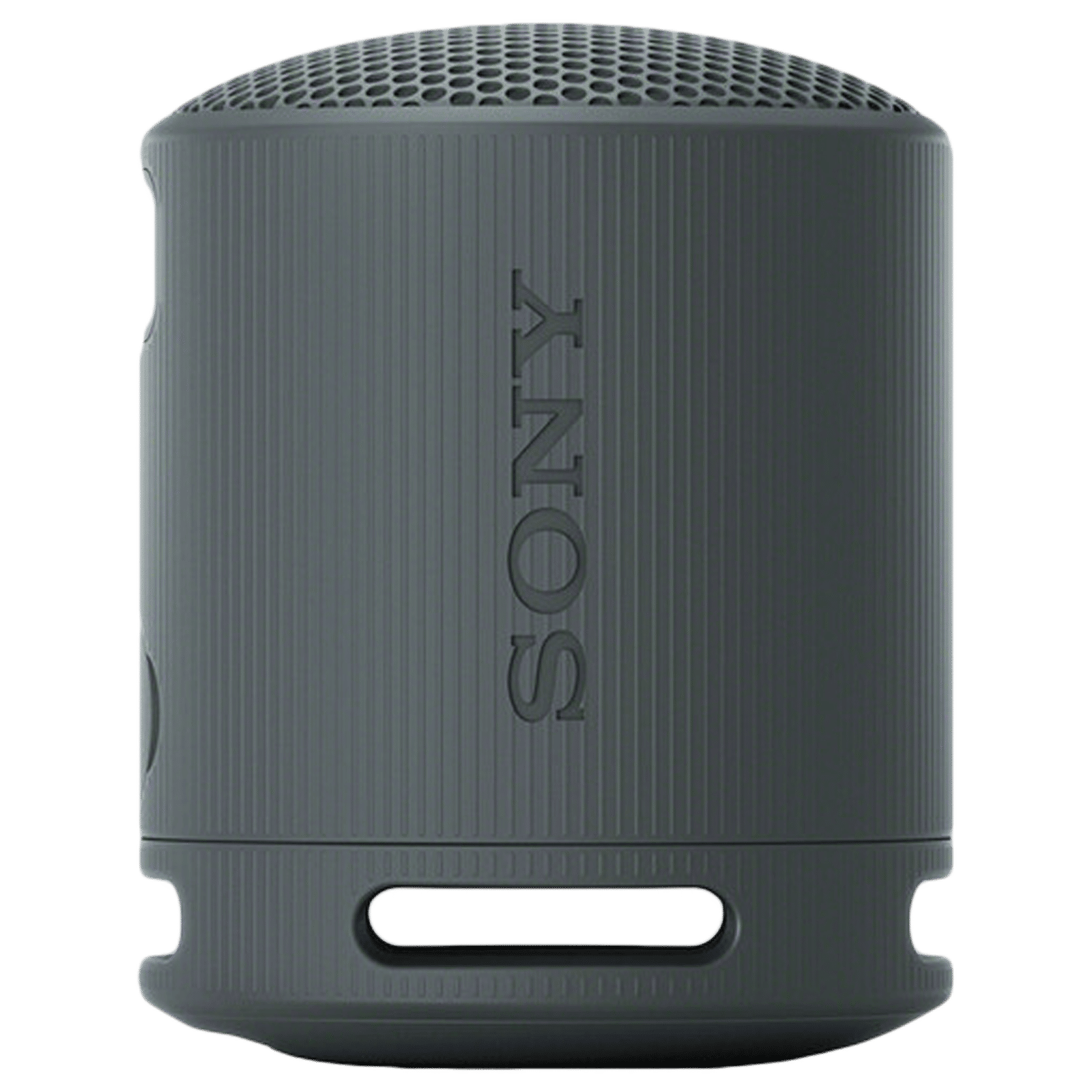 Sony SRS-XB100