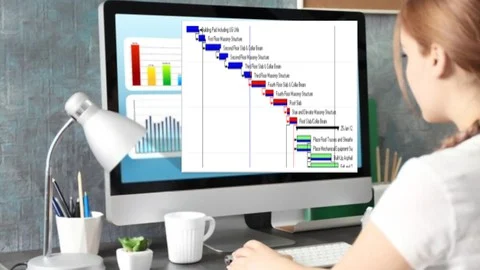 Primavera P6 Project Planning and Scheduling Masterclass Udemy sale
